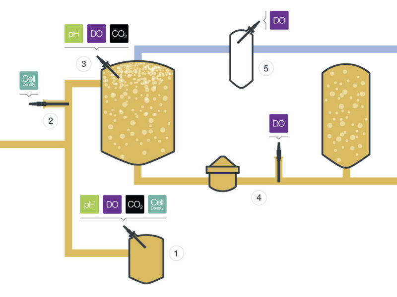 Hamilton プロセス分析用センサー 醸造 保存セラー