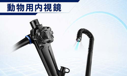 動物用内視鏡